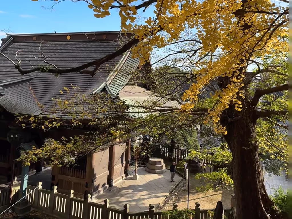 Narita Private Tour - 