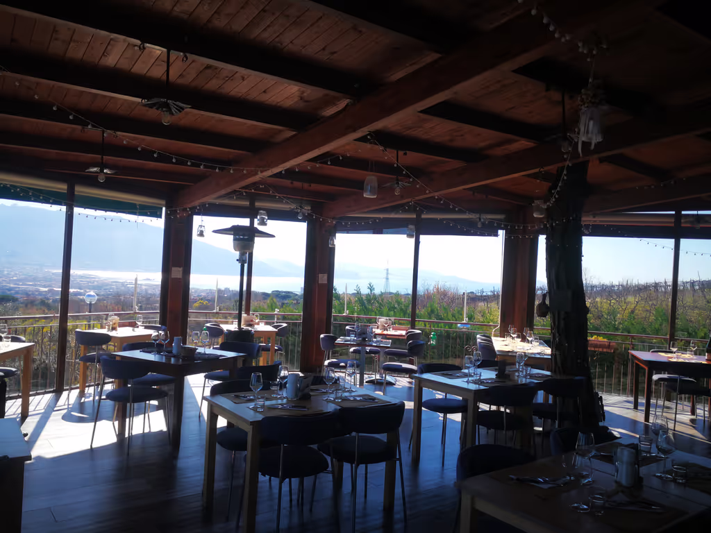 Naples Private Tour - Winery