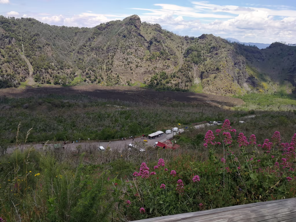 Naples Private Tour - Vesuvio Pick