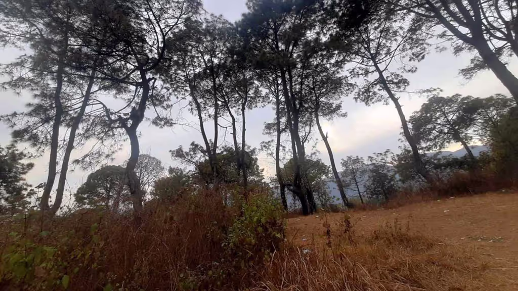 Kathmandu Private Tour - A meadow field