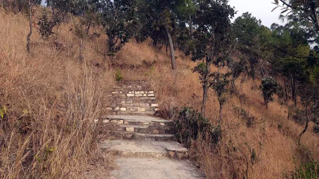 Kathmandu Private Tour - Stairs to the top