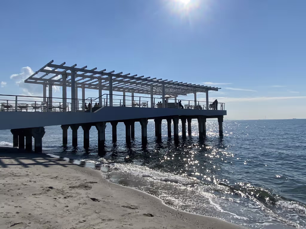 Narita Private Tour - 