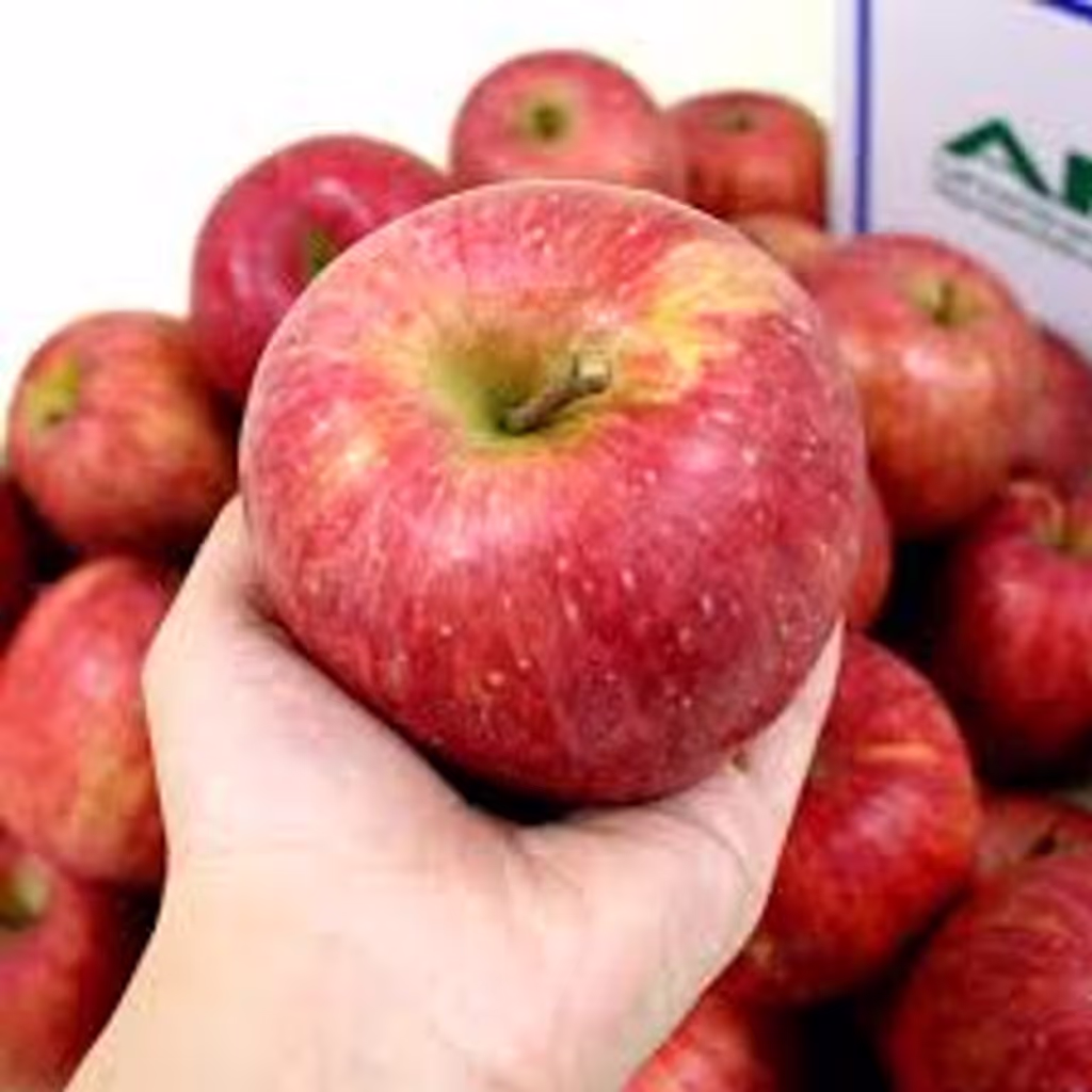 Yokohama Private Tour - Fuji Apple