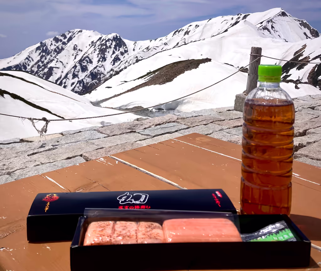 Toyama Private Tour - Sushi at Tateyama?