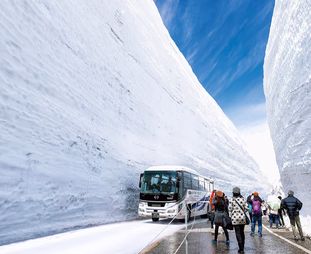 Toyama Private Tour - Great Snow Walls