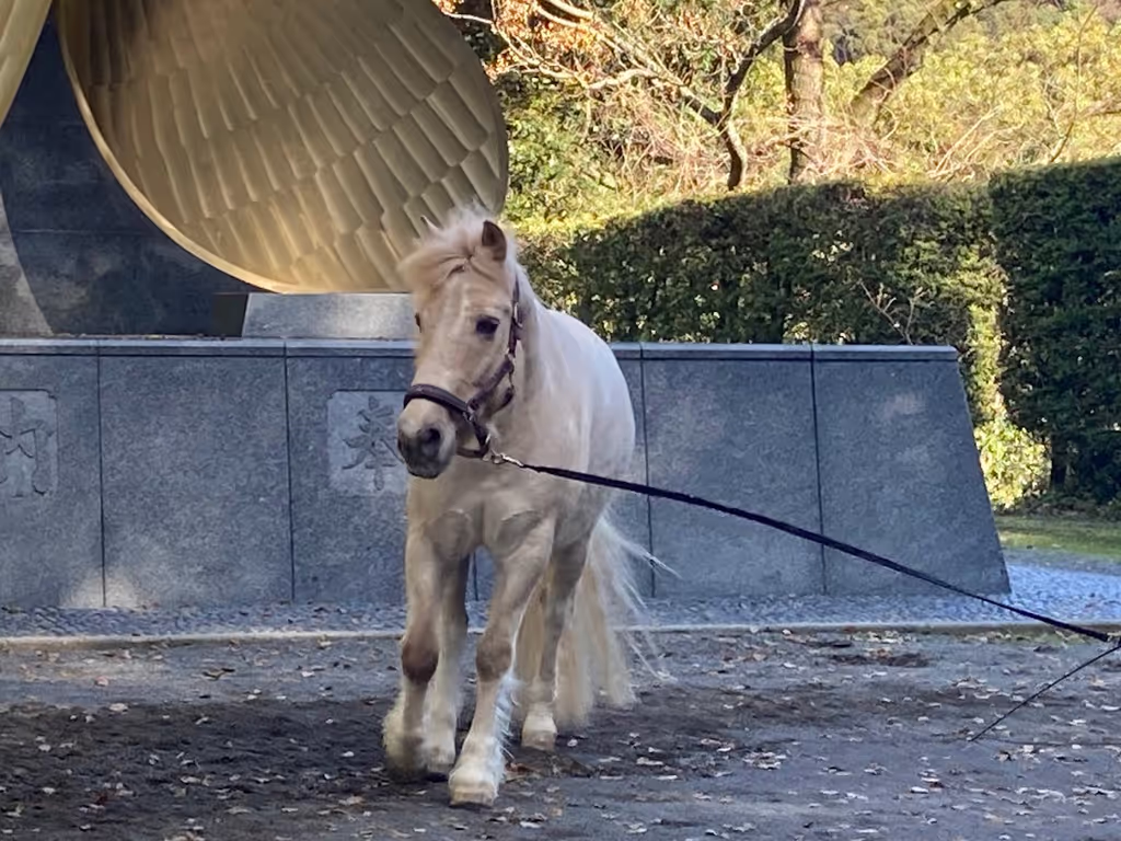 Kagawa Private Tour - a sacred horse dedicated to the shrine