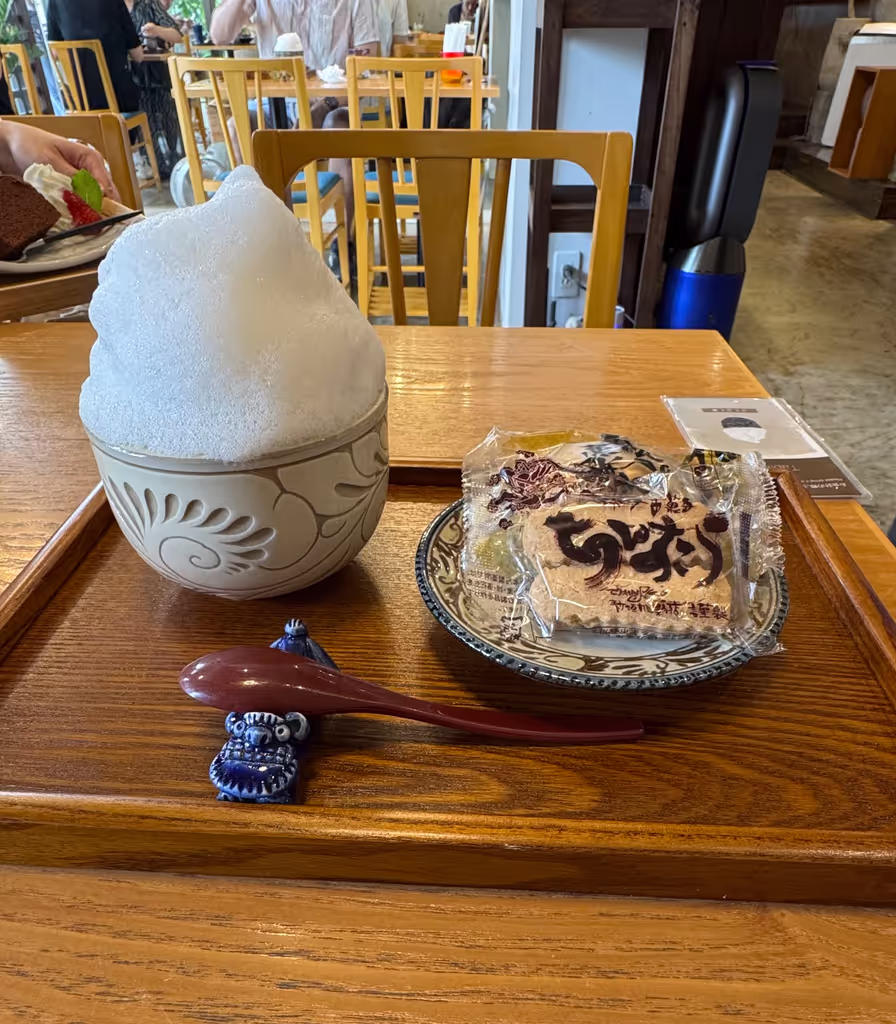 Okinawa Main Island Private Tour - 