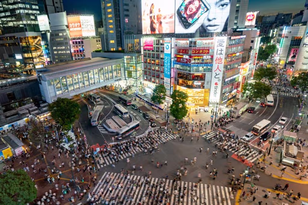 Tokyo Private Tour - 