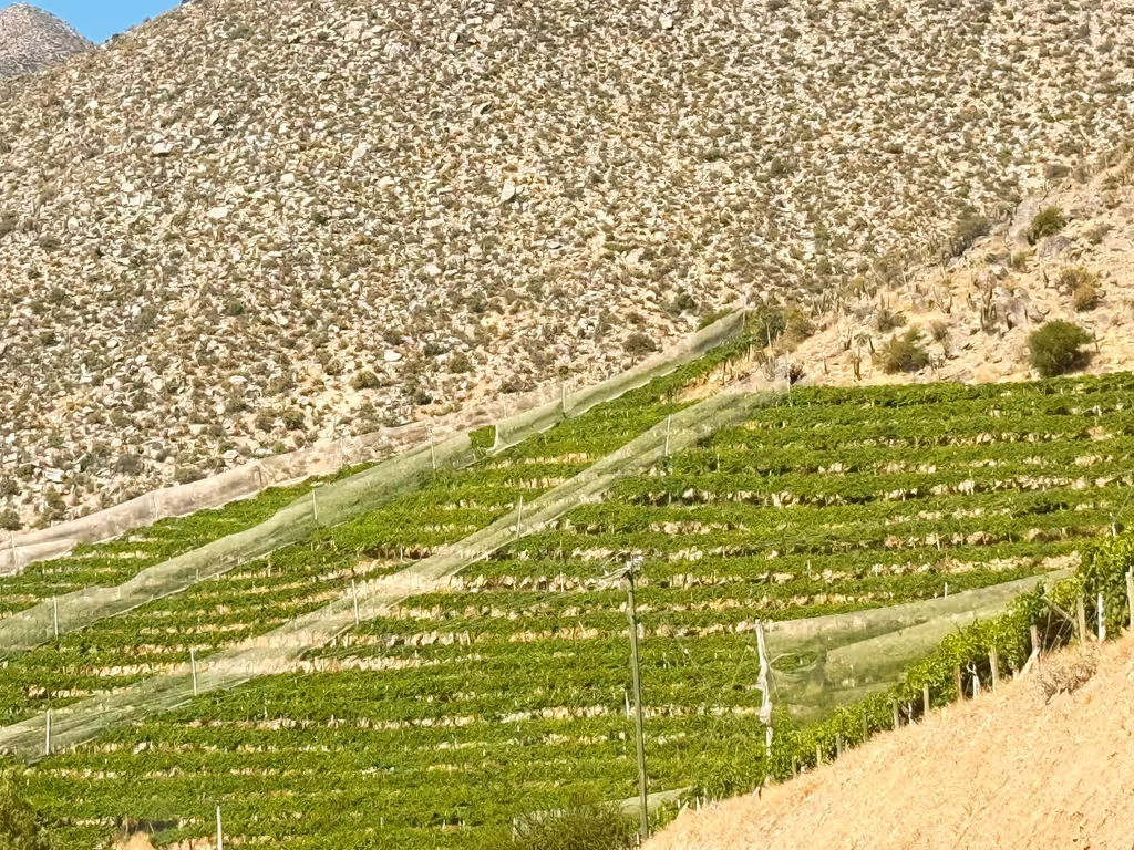 Santiago Private Tour - 