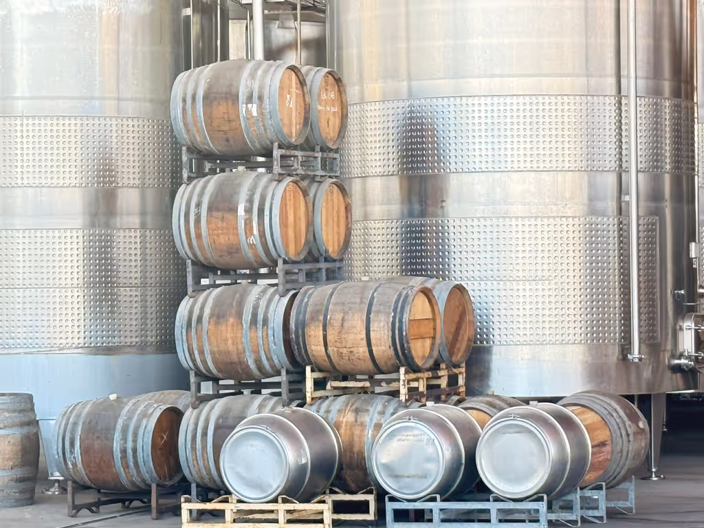 Santiago Private Tour - 