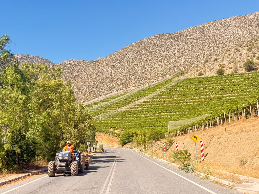 Santiago Private Tour - 