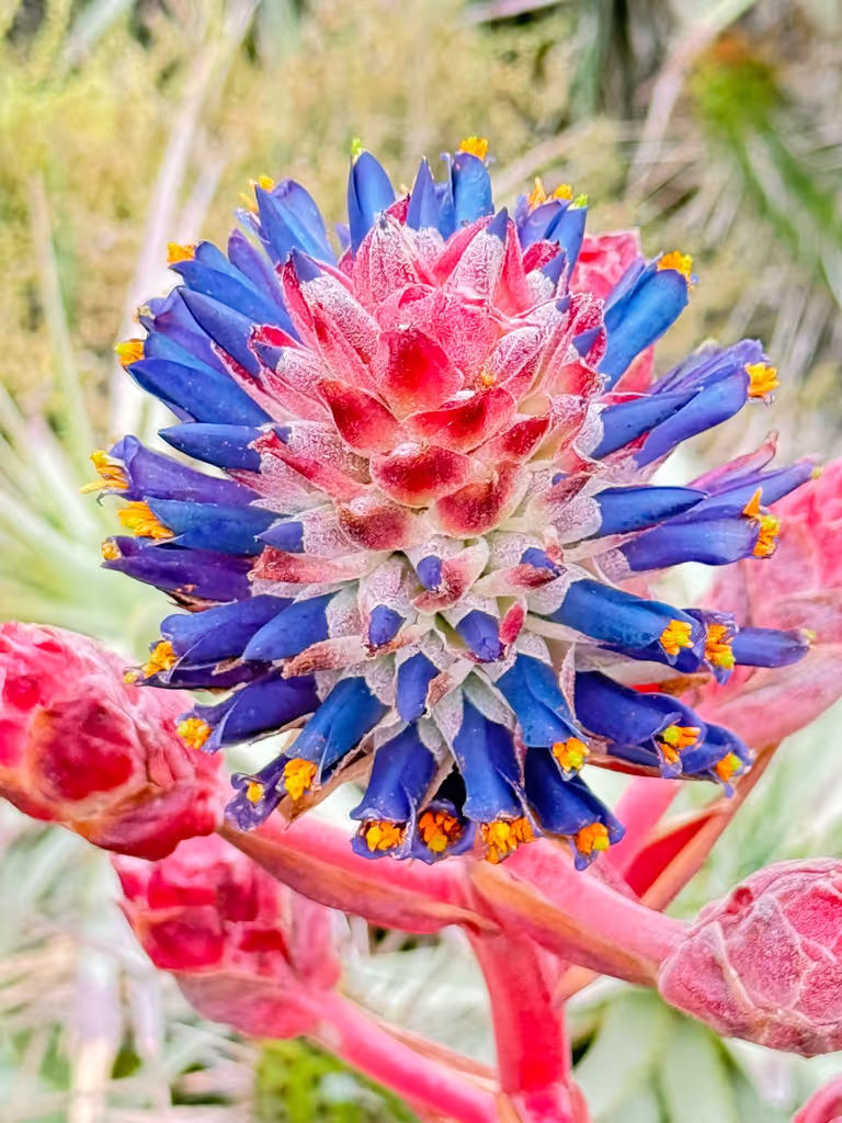 Santiago Private Tour - 