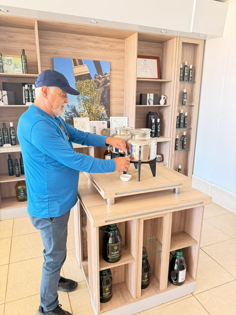 Santiago Private Tour - 