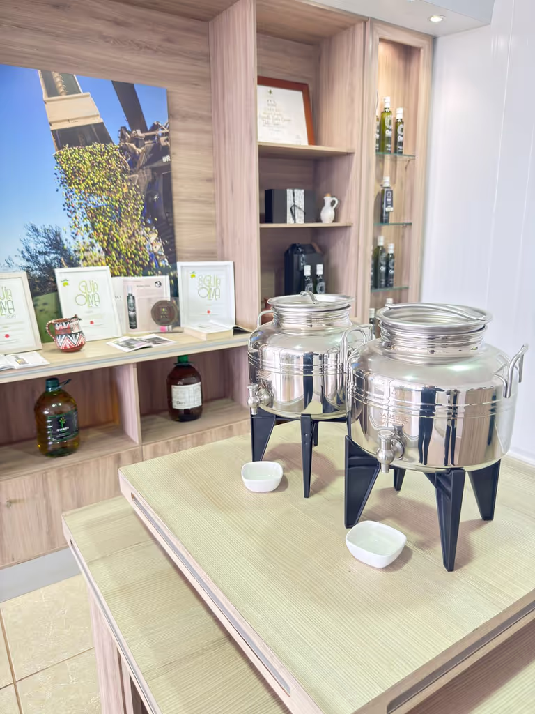 Santiago Private Tour - 