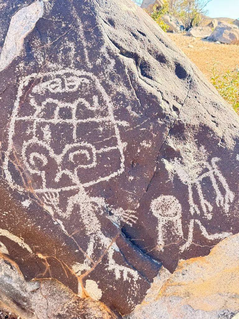 Santiago Private Tour - 