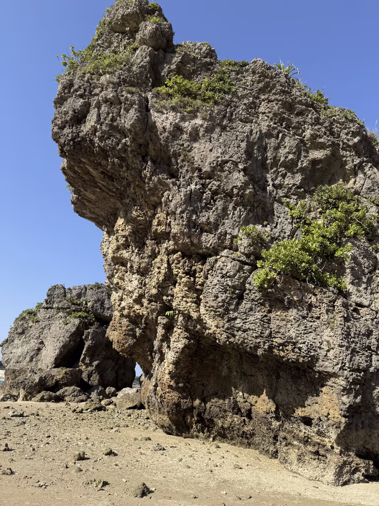 Okinawa Main Island Private Tour - 