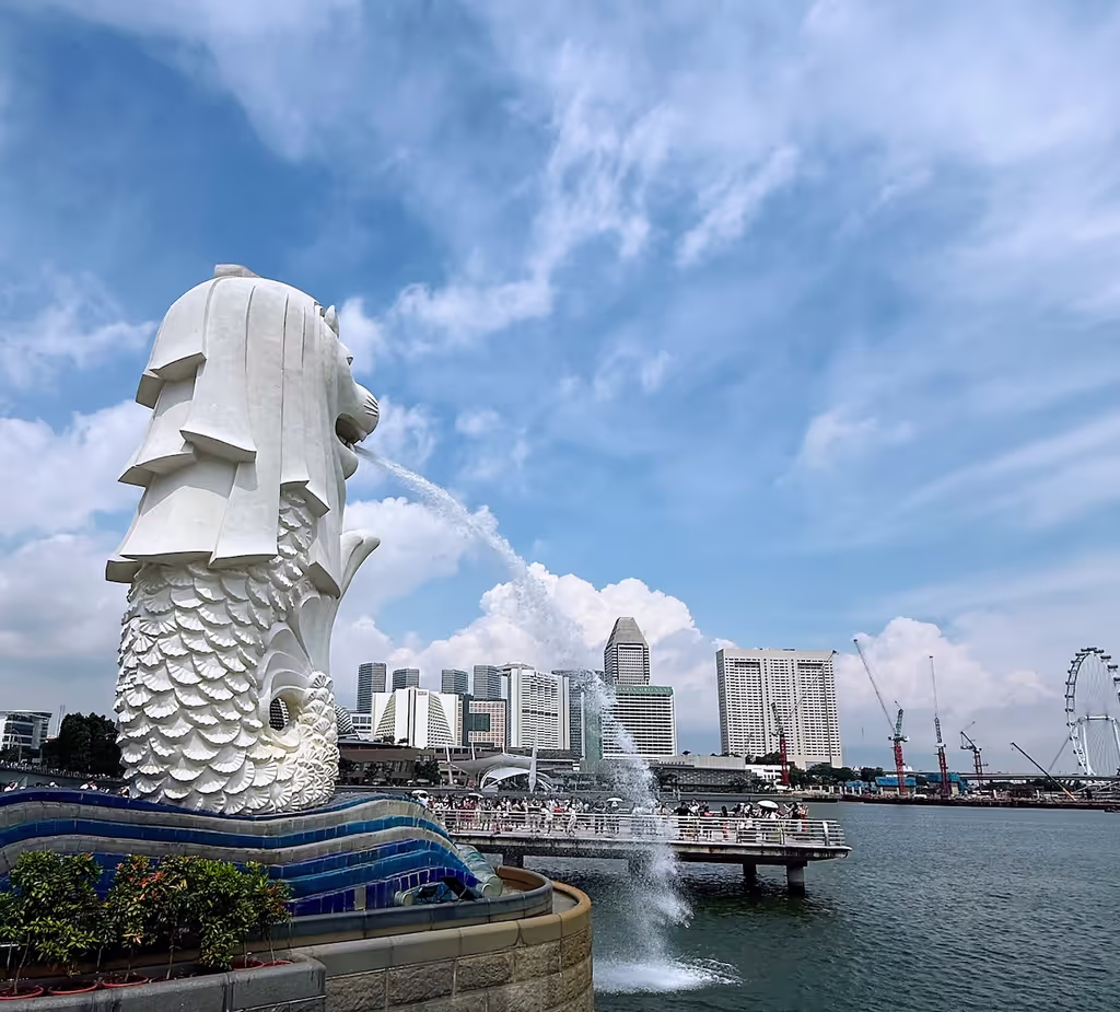 Singapore Private Tour - Merlion
