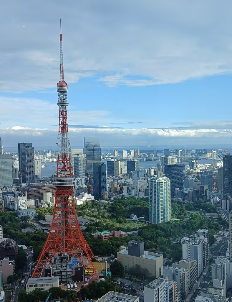 Tokyo Private Tour - 