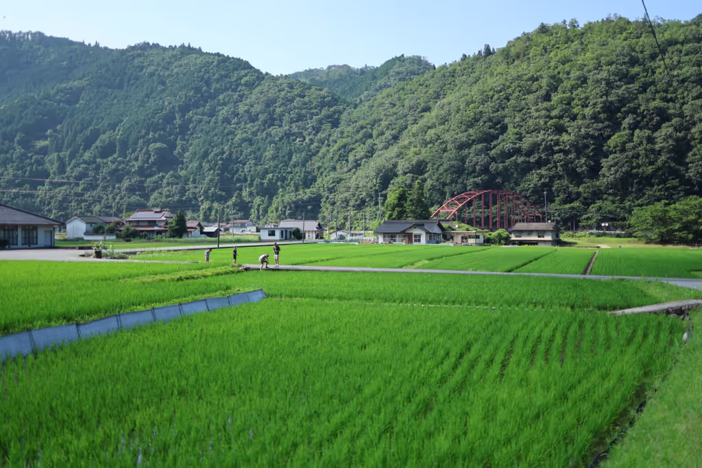 Hiroshima Private Tour - Summer