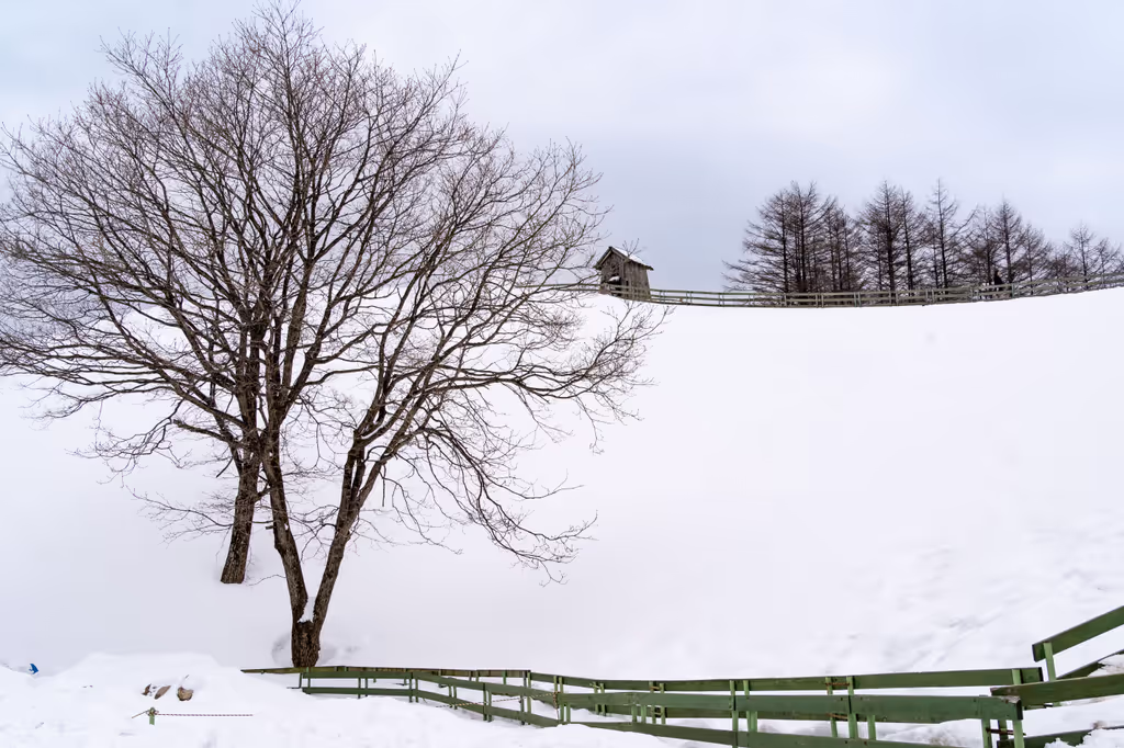 Seoul Private Tour - 