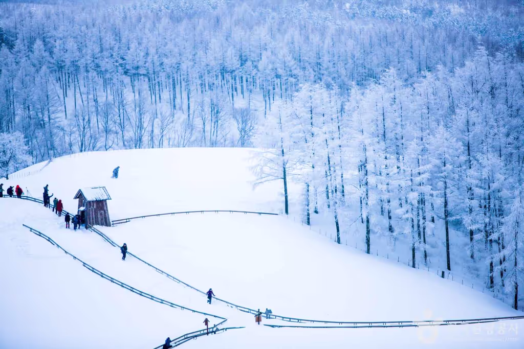 Seoul Private Tour - [ⓒ한국관광공사 포토코리아-김지호]