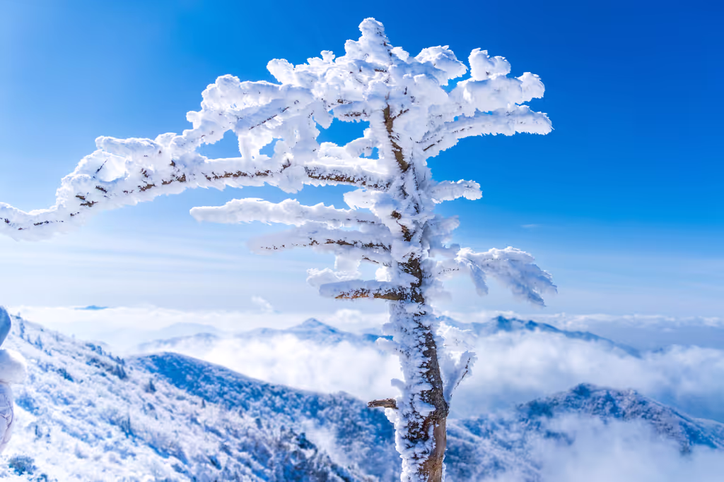 Seoul Private Tour - 