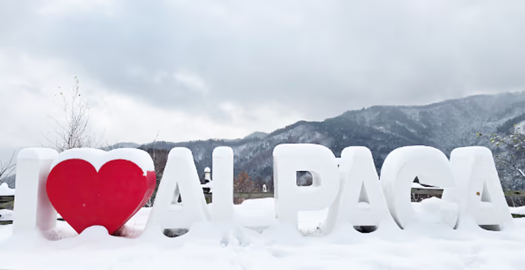 Seoul Private Tour - 