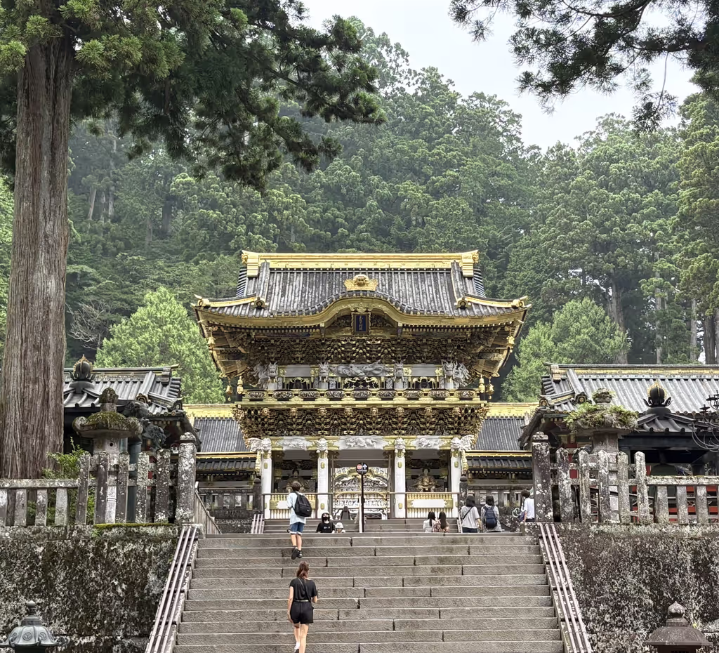 Nikko Private Tour - Toshogu Shrine