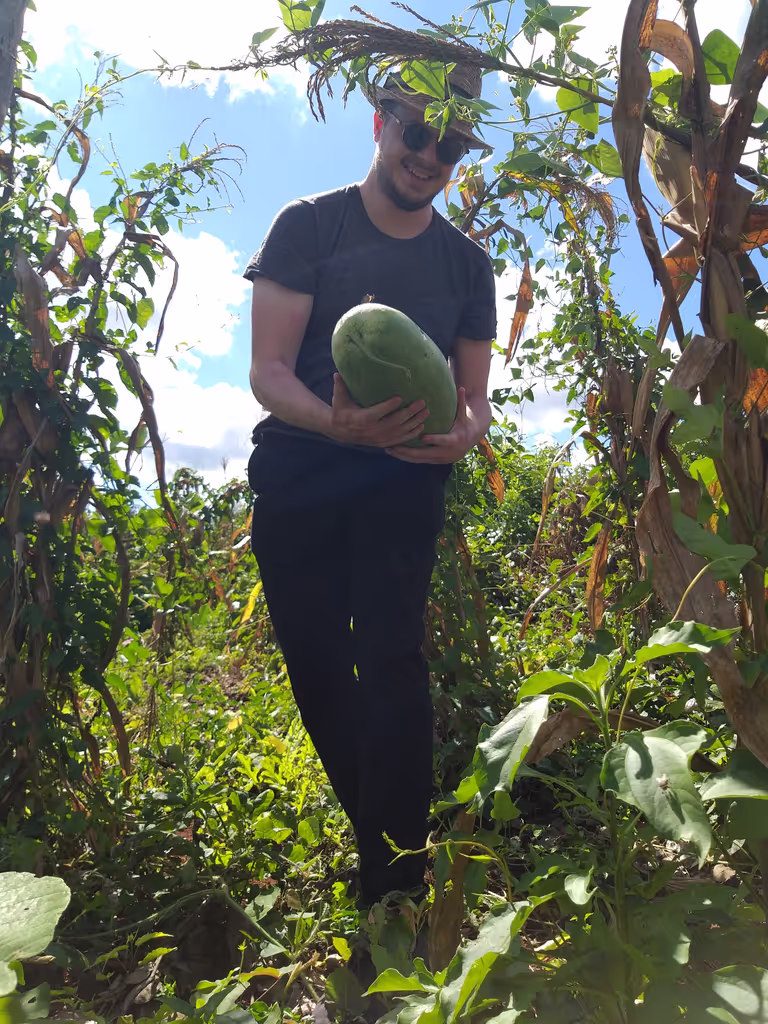 Tulum Private Tour - 