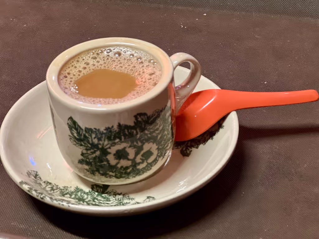 Singapore Private Tour - Kopi Break Anyone?