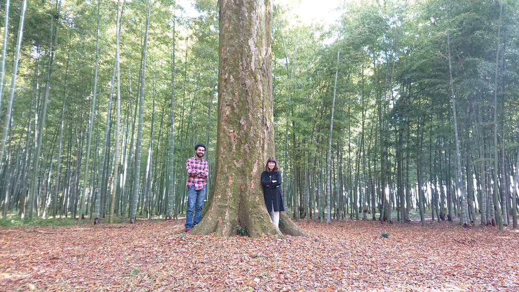Tochigi Private Tour - 