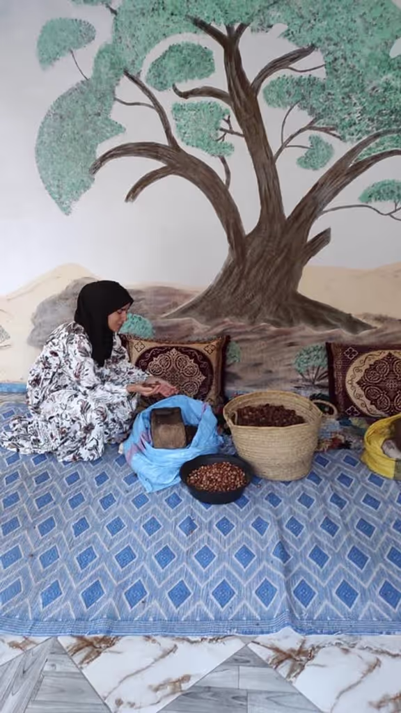 Agadir Private Tour - 