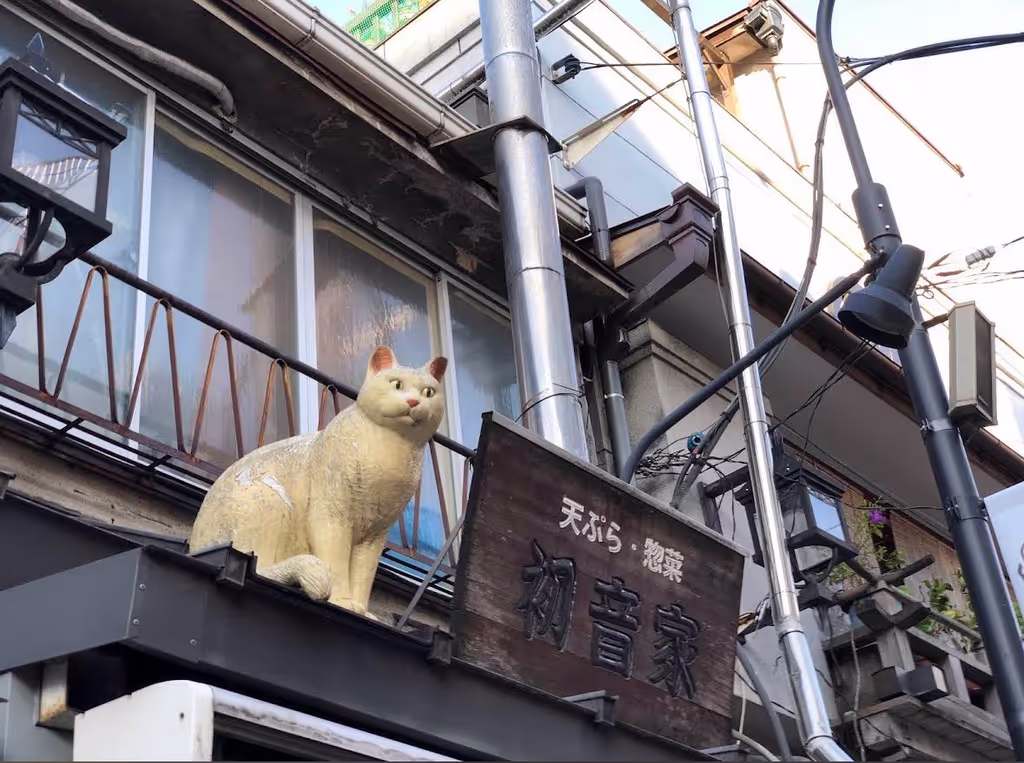 Tokyo Private Tour - 