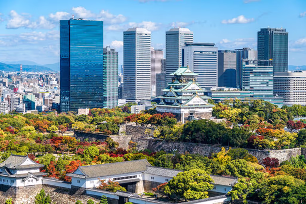 Osaka Private Tour - Osaka Castle