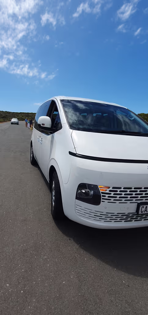 Cape Town Private Tour - 