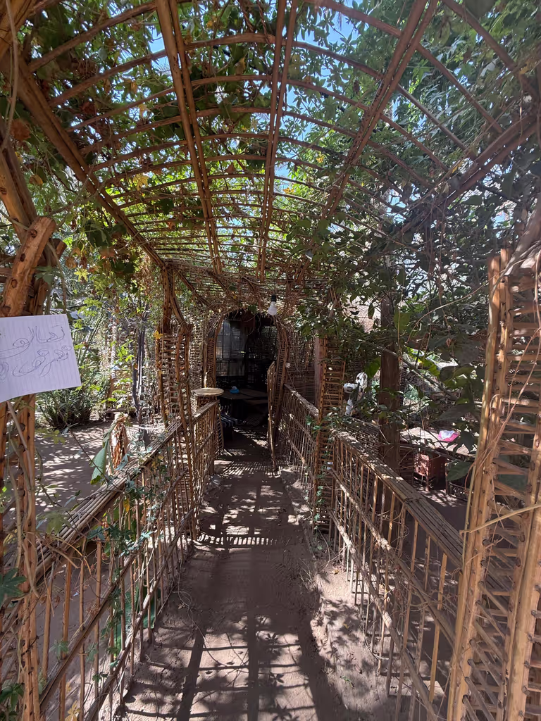 Giza Private Tour - Immersed in authentic village life