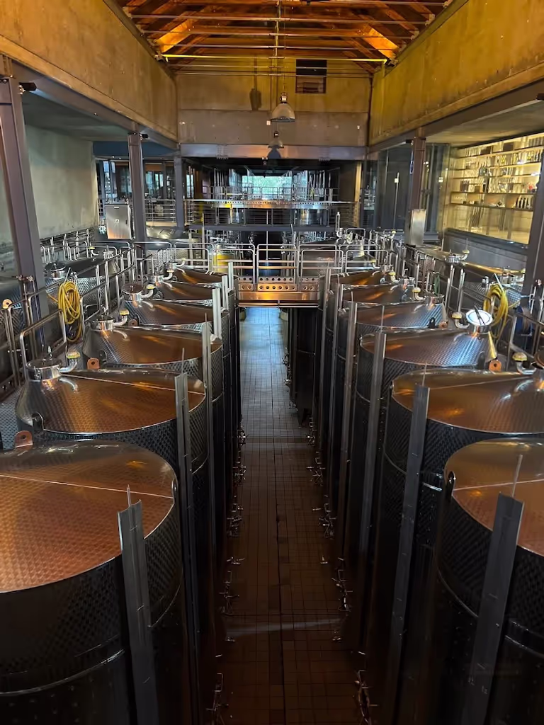 Cape Town Private Tour - 