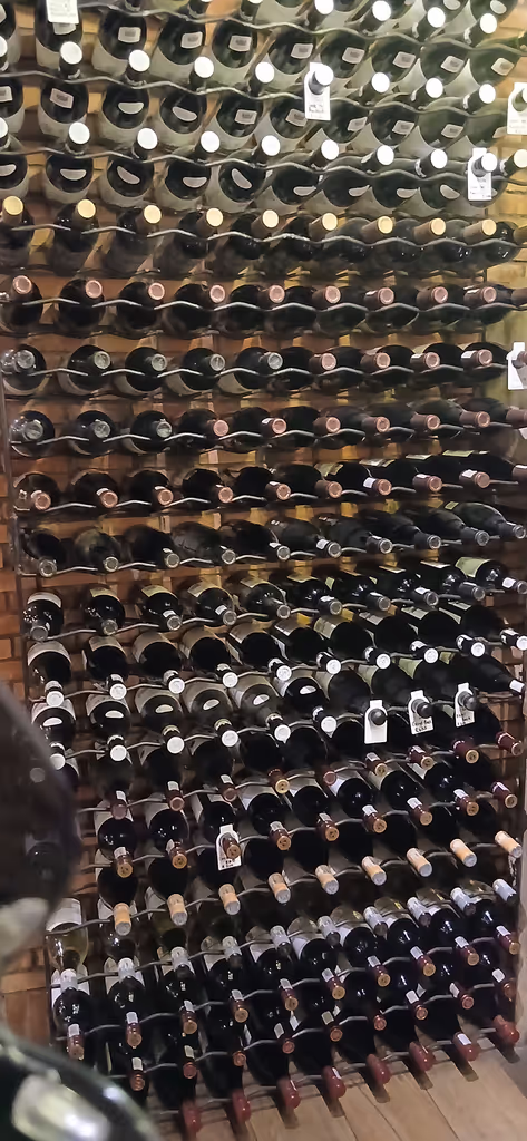 Cape Town Private Tour - Winetours