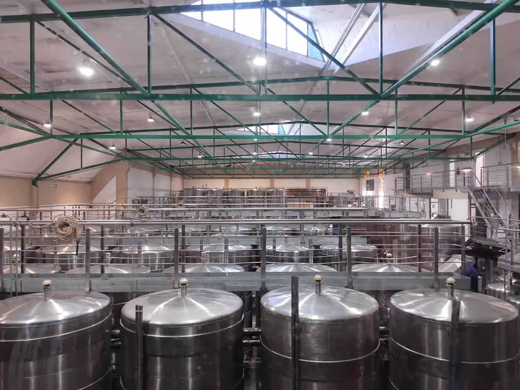 Cape Town Private Tour - 