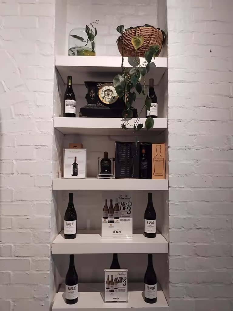 Cape Town Private Tour - 