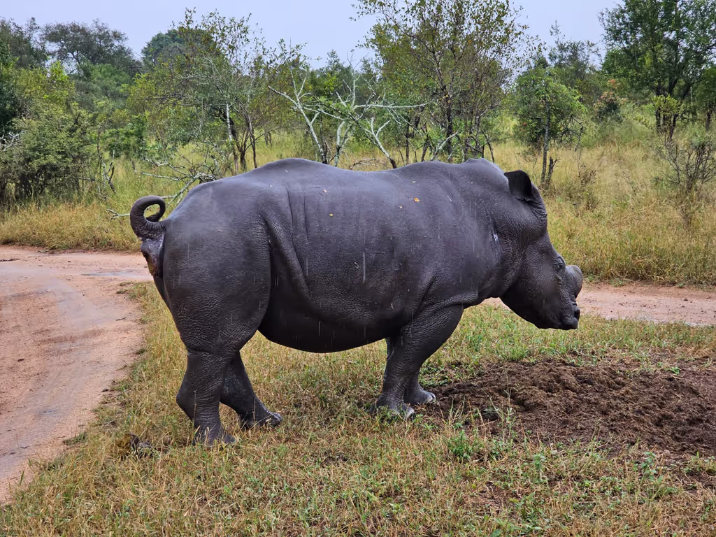 Cape Town Private Tour - 