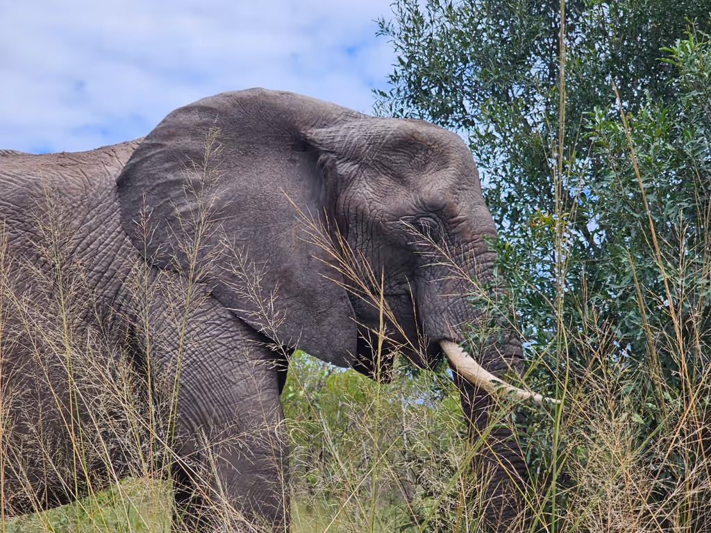 Cape Town Private Tour - 