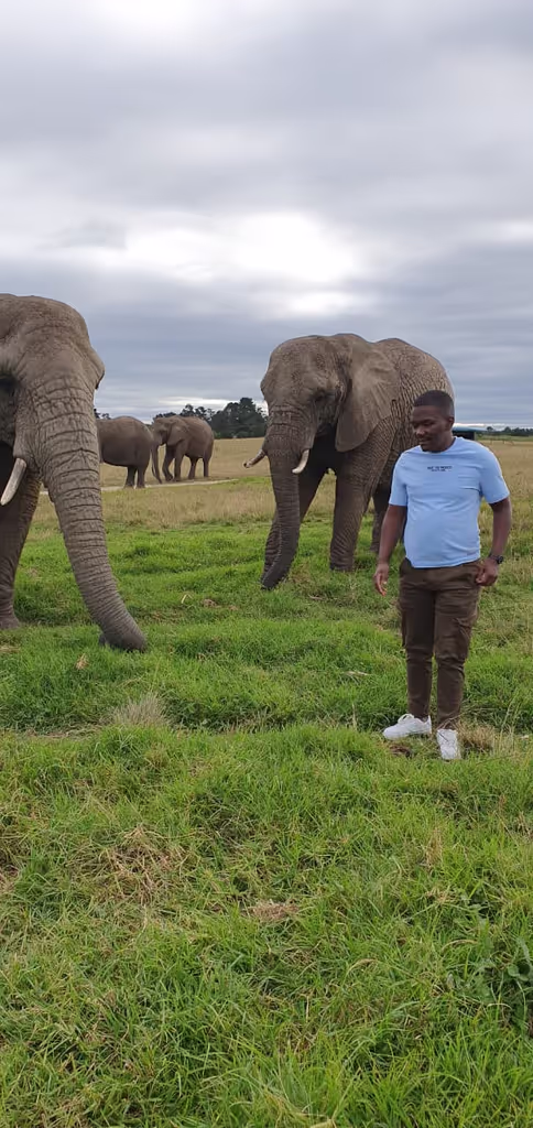 Cape Town Private Tour - 