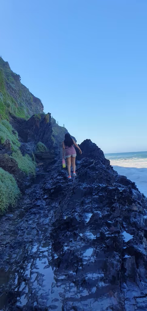 Cape Town Private Tour - 