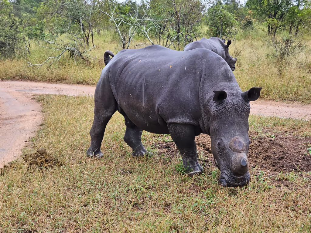 Cape Town Private Tour - 