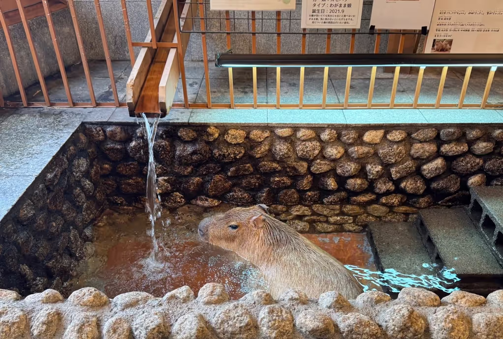 Narita Private Tour - 