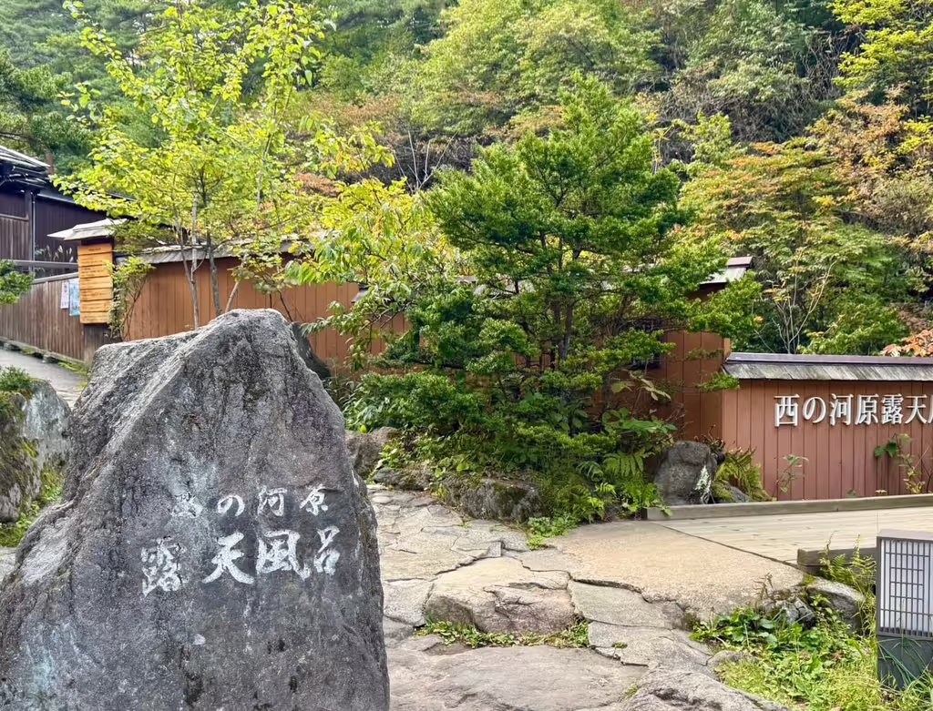 Narita Private Tour - 