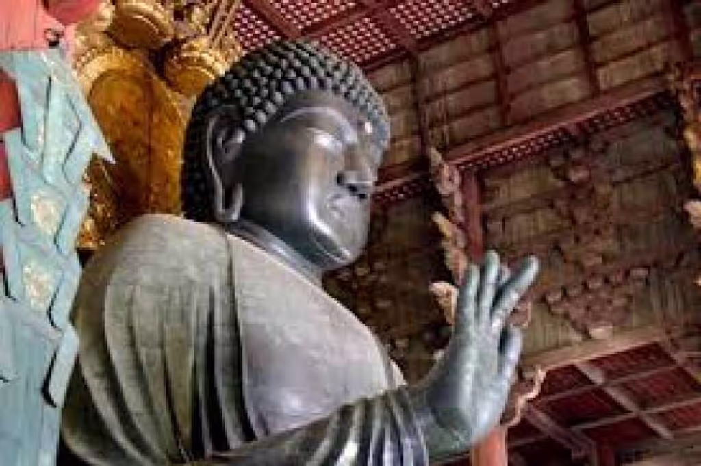 Kyoto Private Tour - Todaiji Temple