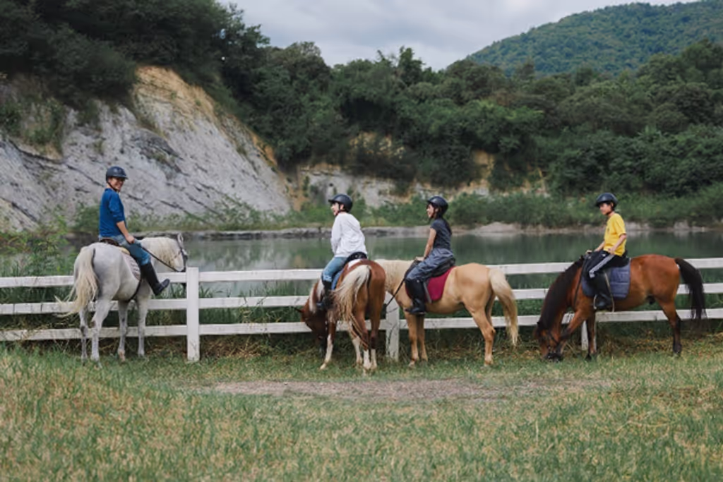 Chiang Mai Private Tour - 