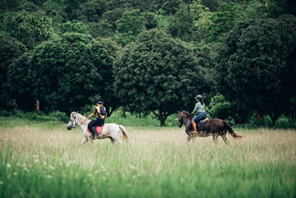 Chiang Mai Private Tour - 